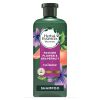 Herbal Essences Passion Flower & Grapefruit Shampoo;  13.5 fl oz