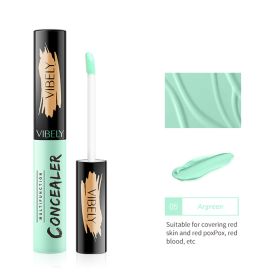 Concealer For Repairing Acne Marks With Concealer Solution (Option: Mugwort green)