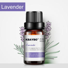 Botanical Aromatherapy Essential Oil (Option: Lavender)